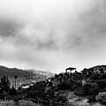 Hollywood Noir